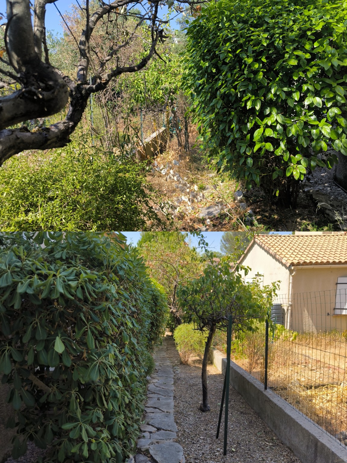 Réalisation d'entretien de jardin