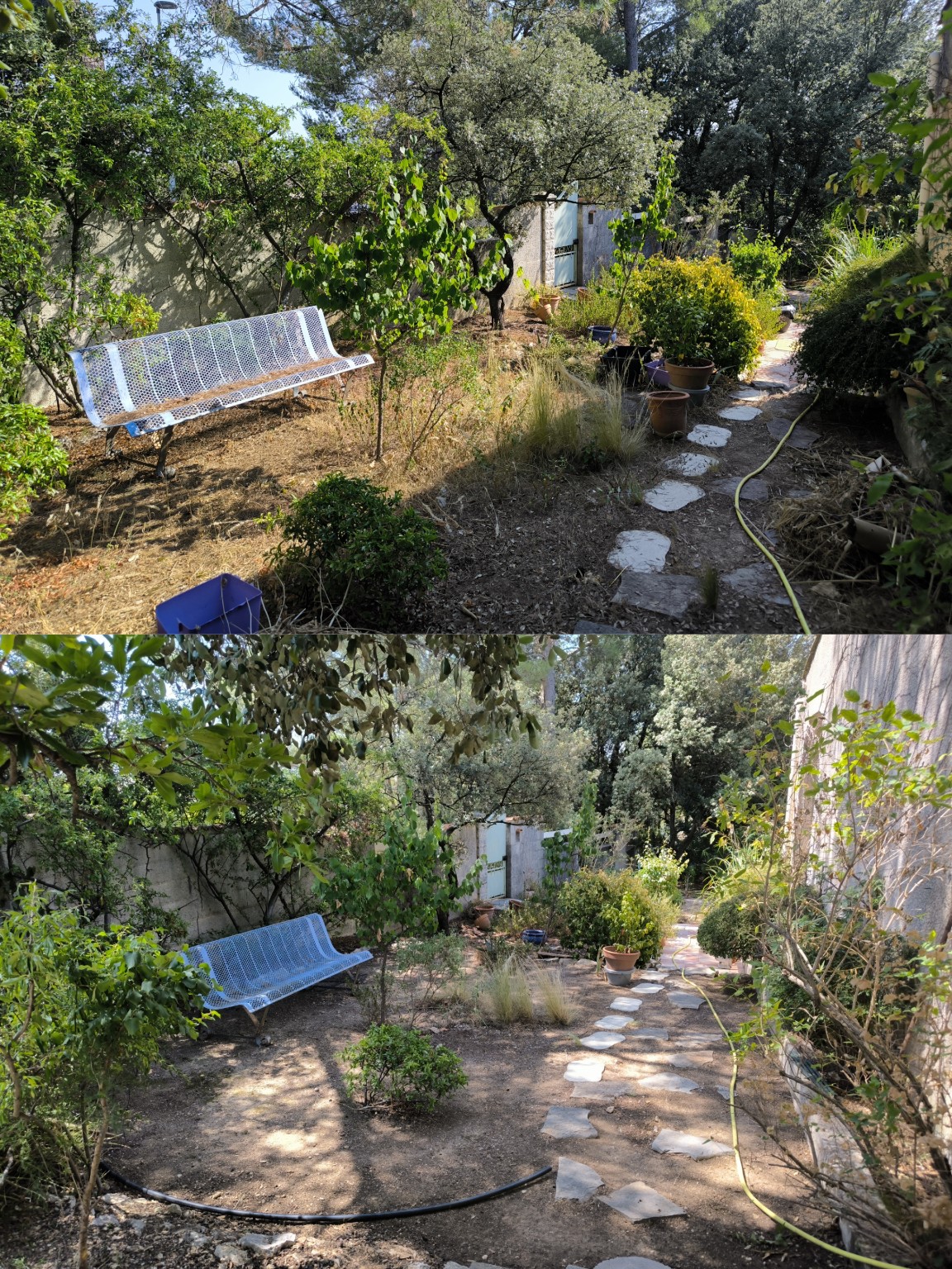 Jardin entretenu par Raph' Paysage