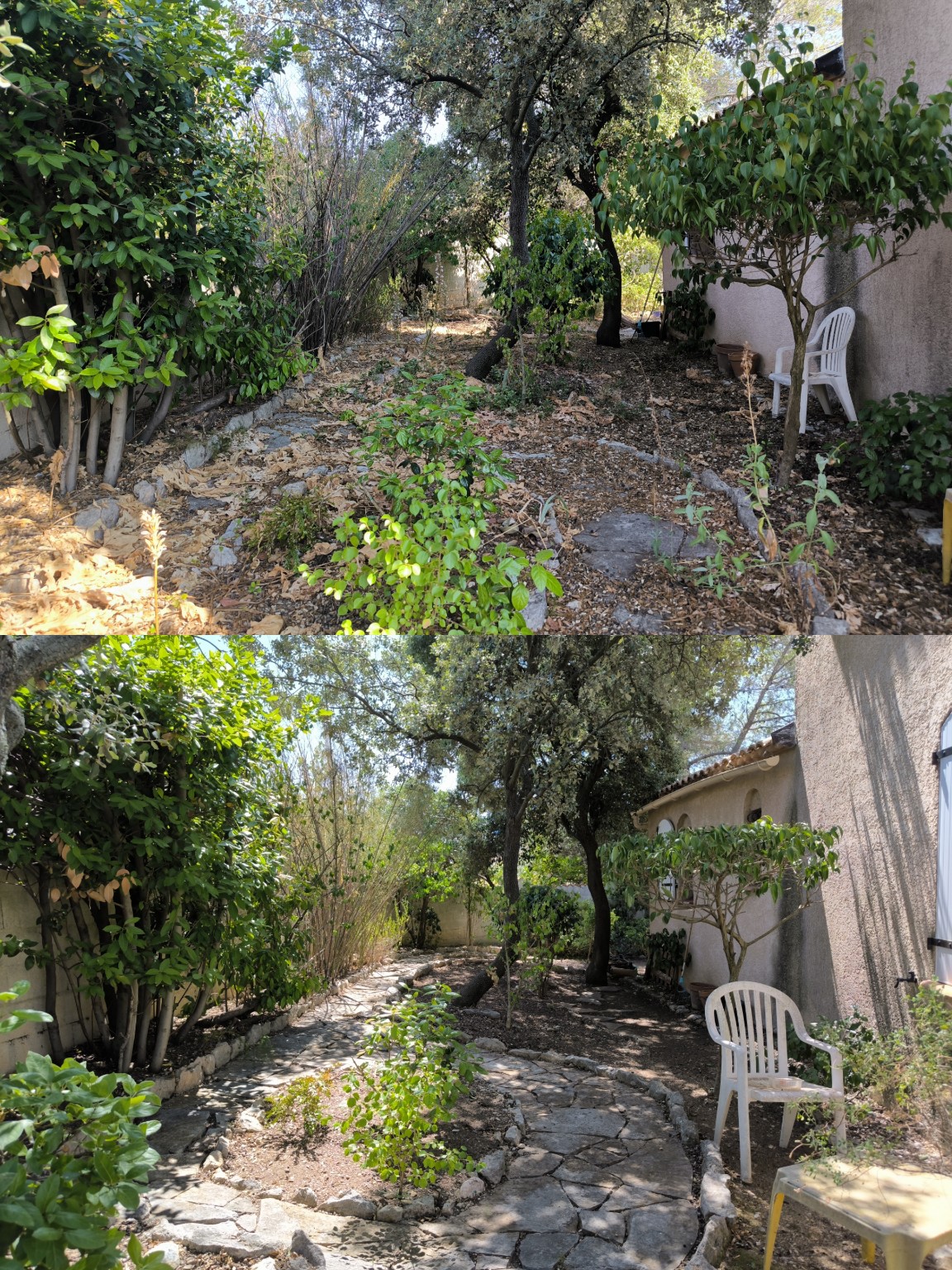 Taille et entretien d'un jardin